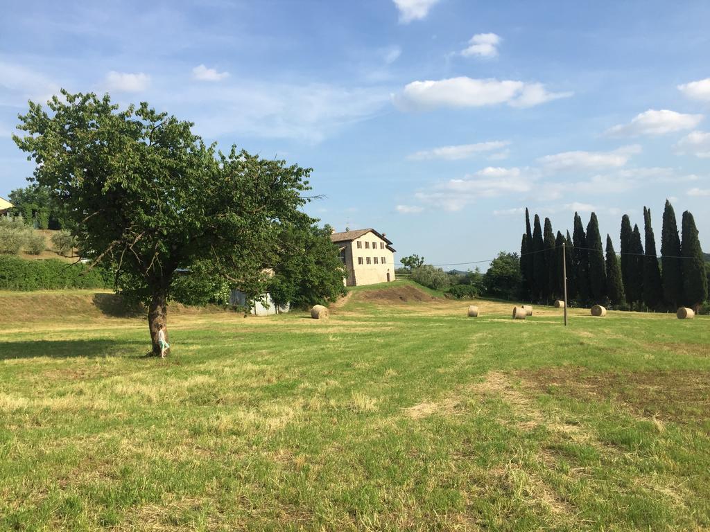Casale Al Solivo B&B Castion Veronese 외부 사진